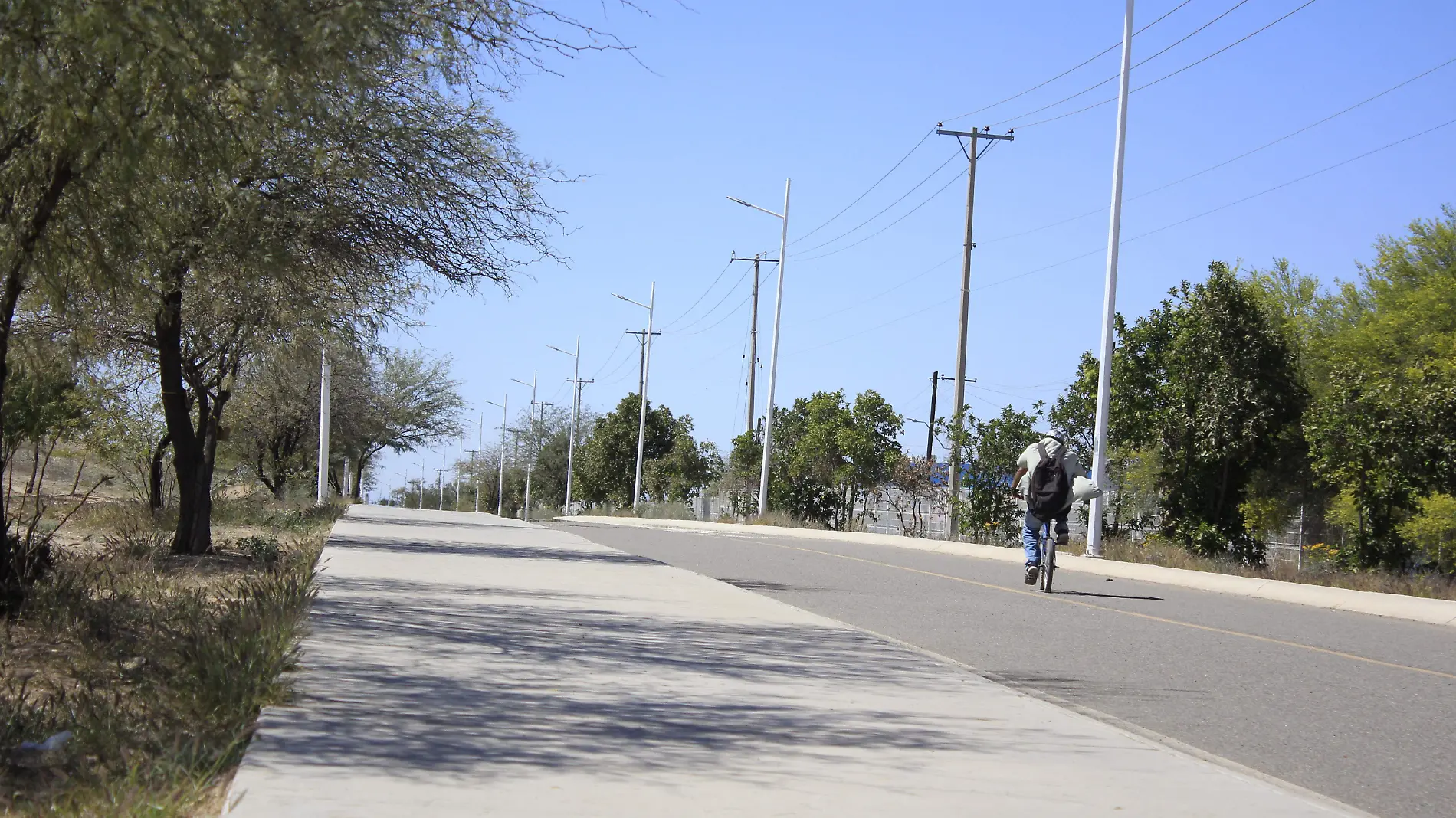 Letreros en árboles Unidad deportiva El kilómetro - Cecilia Saijas (9)